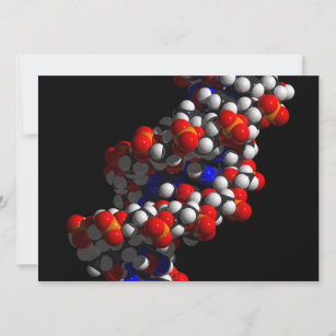 DNA Double Helix Model Invitation