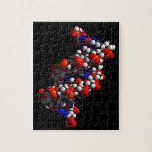 DNA Double Helix Model Jigsaw Puzzle