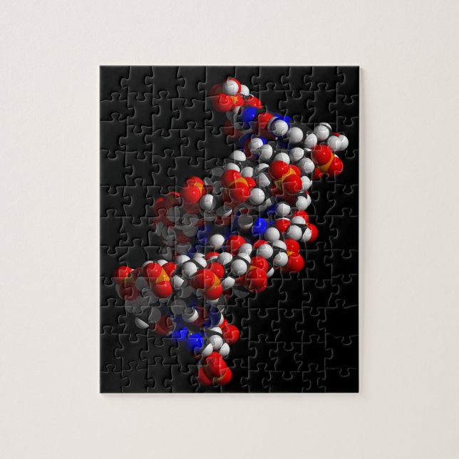 DNA Double Helix Model Jigsaw Puzzle (Vertical)