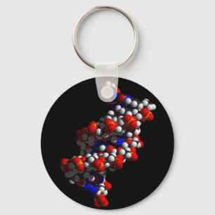 DNA Double Helix Model Key Ring