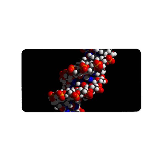 DNA Double Helix Model Label (Front)