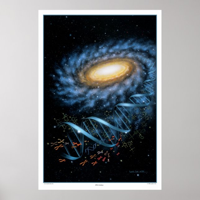 DNA Galaxy Print (Front)