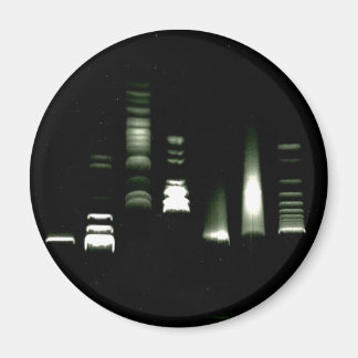 DNA Gel Electrophoresis Magnet