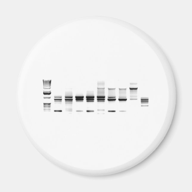 DNA Gel Magnet (Front)