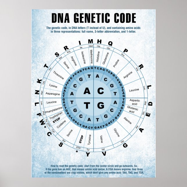 DNA Genetic Code Chart (Front)