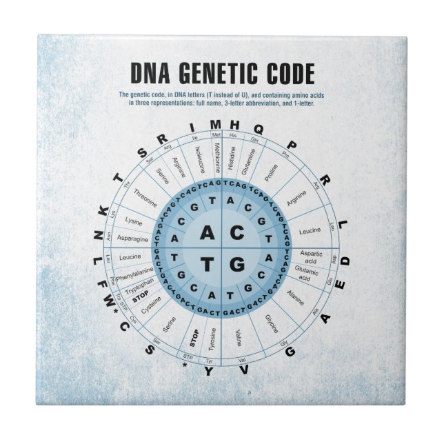 DNA Genetic Code Chart Ceramic Tile (Front)
