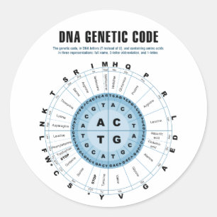 DNA Genetic Code Chart Classic Round Sticker