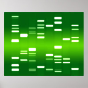 DNA Genetic Code Green Poster