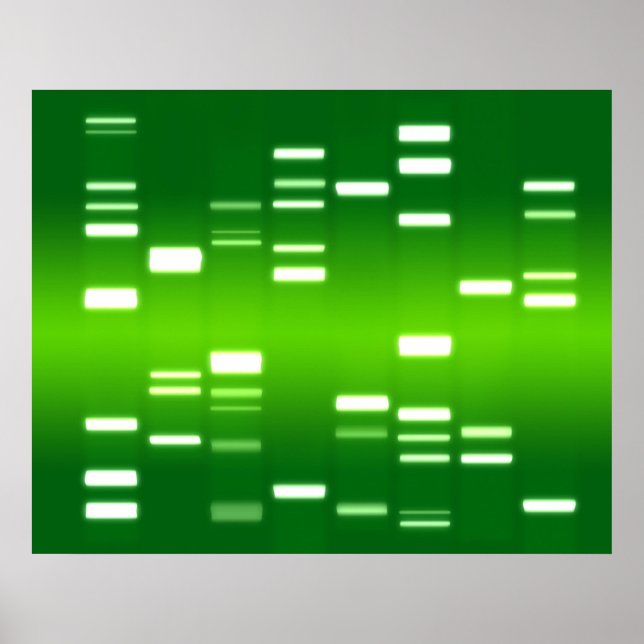 DNA Genetic Code Green Poster (Front)