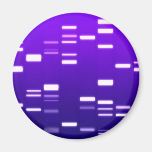 DNA Genetic Code Purple Magnet