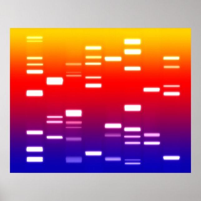 DNA Genetic Code Rainbow Poster (Front)