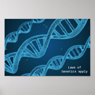 DNA genetics laws of genetics apply geek Poster