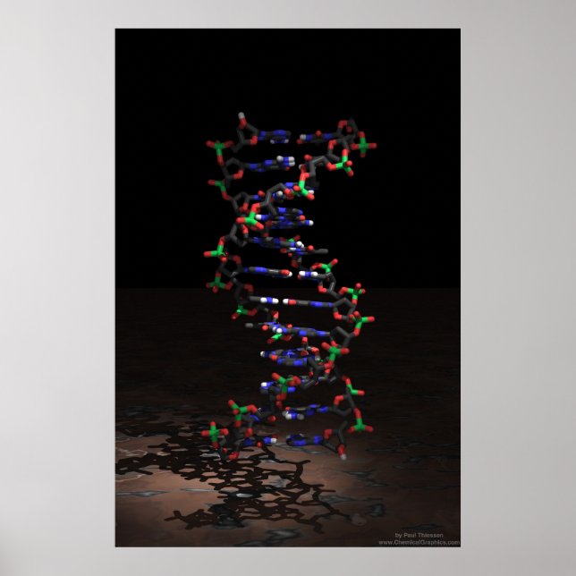 DNA in the Spotlight Poster (Front)