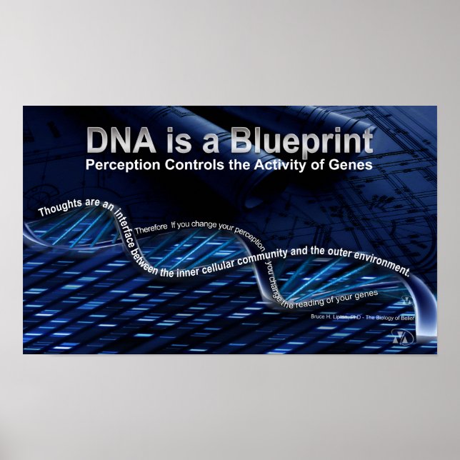 DNA is a Blueprint Poster (Front)
