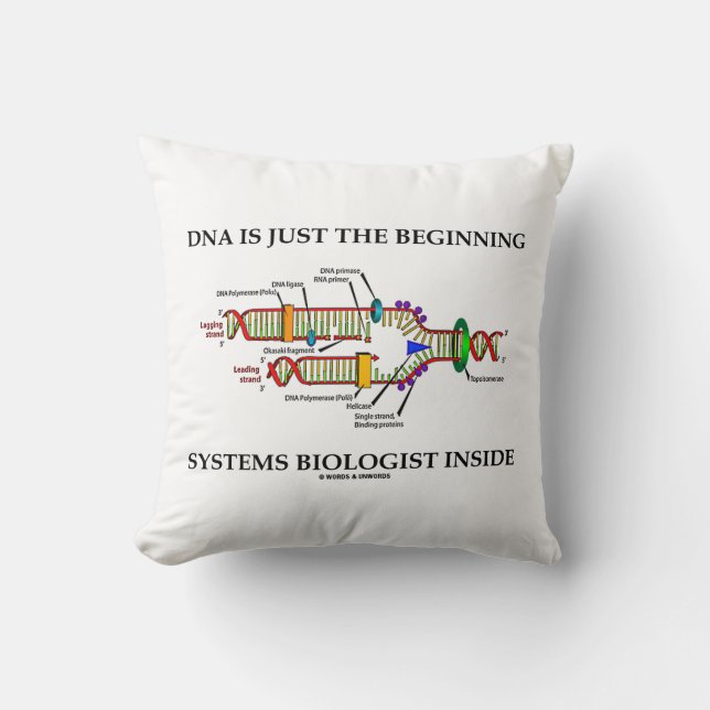 DNA Is Just The Beginning Systems Biologist Inside Cushion (Front)