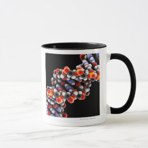 DNA molecule. Molecular model of DNA Mug