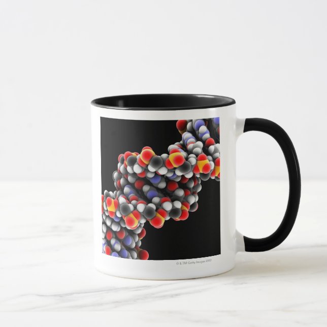 DNA molecule. Molecular model of DNA Mug (Right)