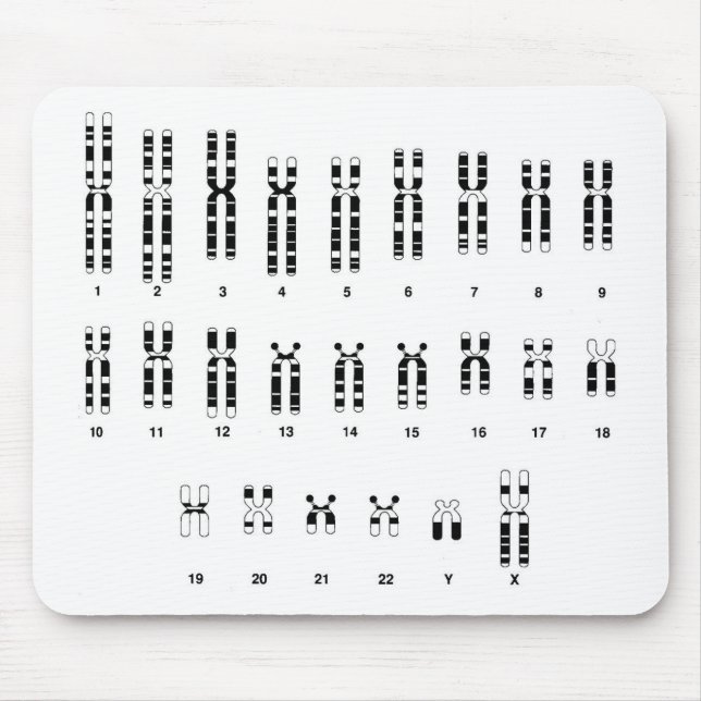 DNA mousepad (Front)