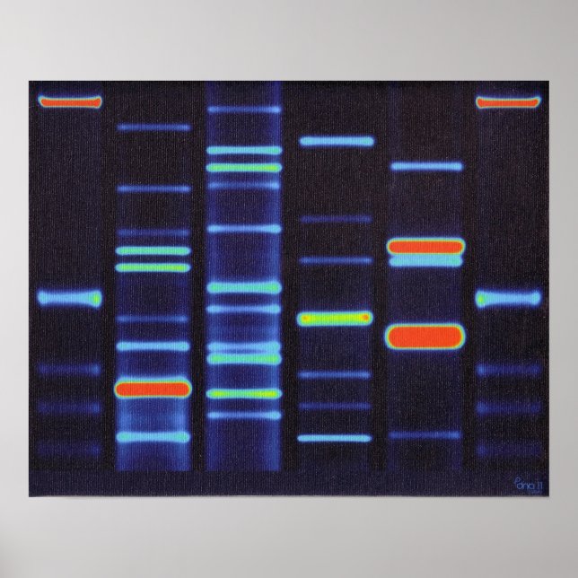 DNA Poster (Front)