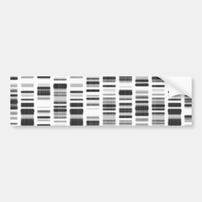 DNA Print - Bumper Sticker (Front)
