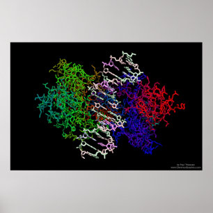 DNA Protein Complex Poster