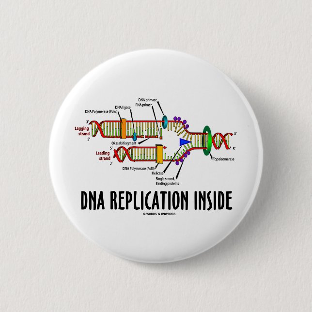 DNA Replication Inside (DNA Attitude) 6 Cm Round Badge (Front)
