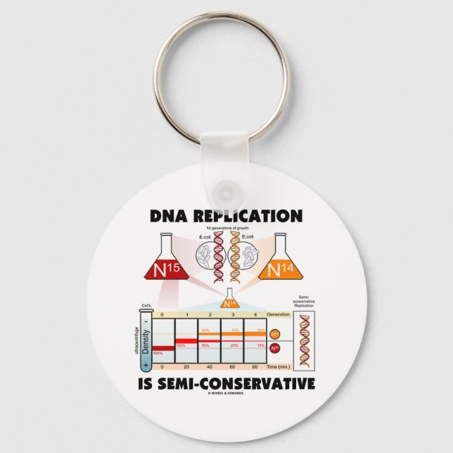DNA Replication Is Semi-Conservative Key Ring (Front)