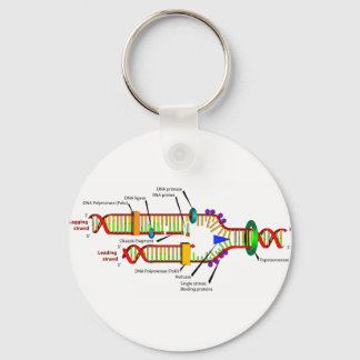 DNA replication Key Ring