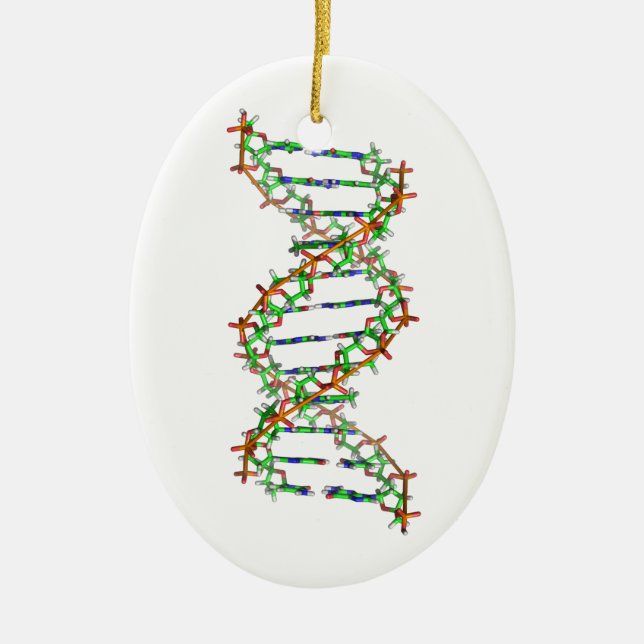 DNA - science/scientist/biology Ceramic Ornament (Front)