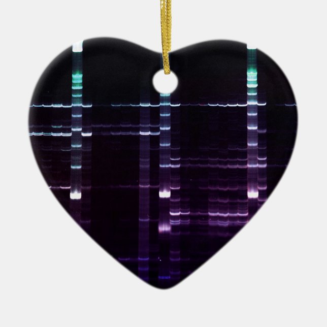 DNA Sequencing Gel 2 Ceramic Ornament (Front)