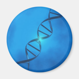 DNA Strand Magnet