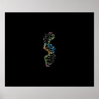 DNA Strand