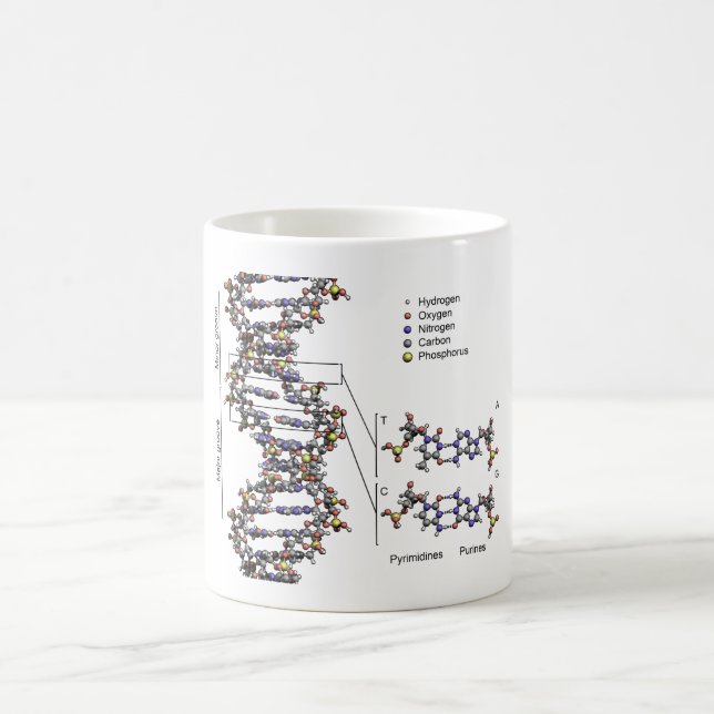 DNA Structure Deoxyribonucleic Acid Bases Diagram  Coffee Mug (Center)