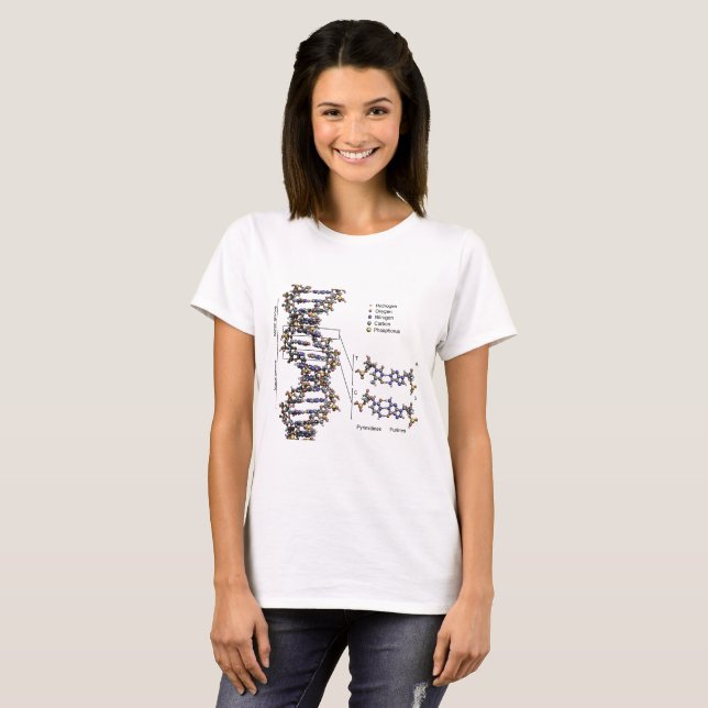 DNA Structure Deoxyribonucleic Acid Bases Diagram  T-Shirt (Front Full)