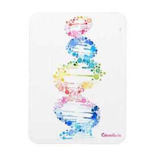 DNA, the spyral of life Magnet