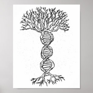 Dna Tree Life Genetics Biologist Science Earth Day Poster