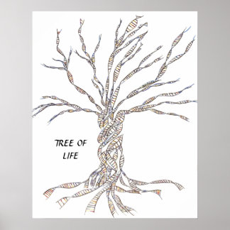DNA TREE or Tree of Life POSTER BLUE