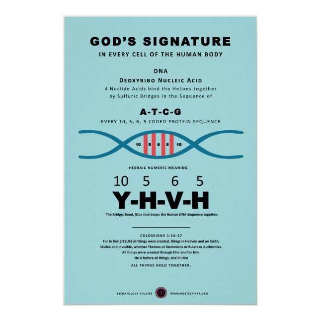 DNA-YHVH Code Poster (Front)