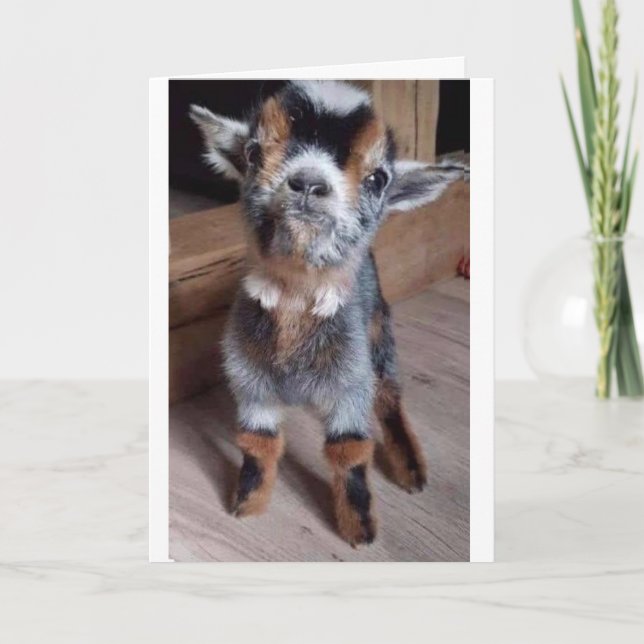 DO A BABY GOAT A FAVOR "HAPPY BIRTHDAY" CARD (Front)