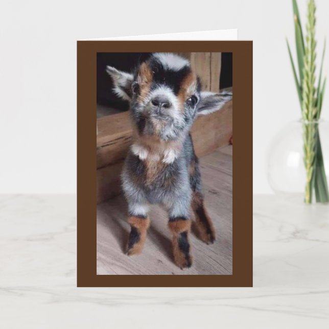 DO BABY GOAT A FAVOR "HAVE A HAPPY 30th BIRTHDAY" Card (Front)