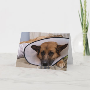 "Do I Have To Wear This?" Card