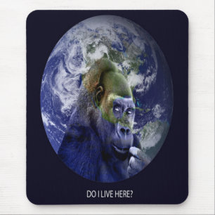 Do I Live Here? Mouse Pad