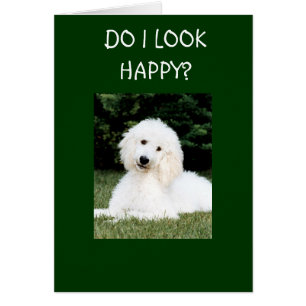 DO I LOOK HAPPY?