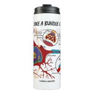Do I Look Like A Bundle Of Nerves? Neuron Synapse Thermal Tumbler