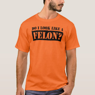 Do I look like a Felon? T-Shirt