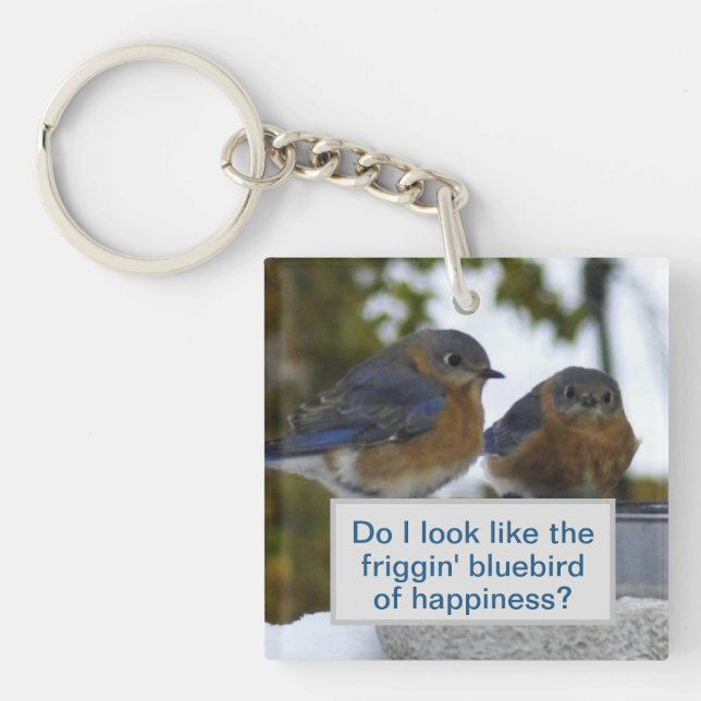 Do I Look Like Bluebird of Happiness Key Ring (Front)