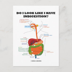 Do I Look Like I Have Indigestion? (Medical) Postcard