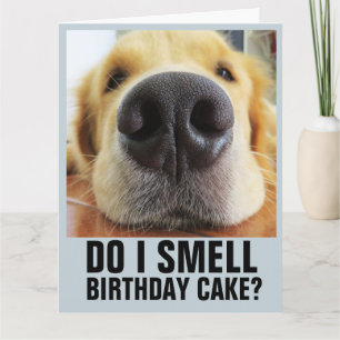 DO I SMELL BIRTHDAY CAKE? FUNNY CLOSEUP DOG CARDS