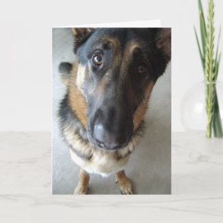 Do I smell cake? Birthday wishes... Card