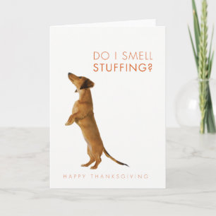 Do I smell stuffing? Dachshund puppy Thanksgiving Holiday Card